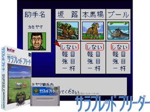 Game Thumbnail - Thoroughbred Breeder (J) [f1+C]